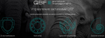 Компания QBF – эффективные инвестиционные решения! Правда или нет?