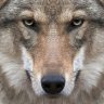 Ildar_sp